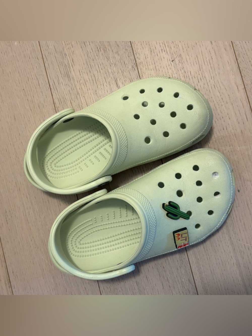 CROCS Kids Light Green Slip-On Clogs with Cactus Charm